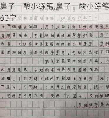 鼻子一酸小练笔,鼻子一酸小练笔60字