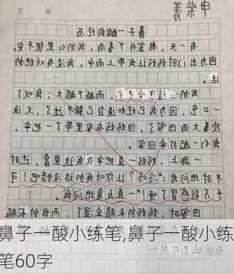 鼻子一酸小练笔,鼻子一酸小练笔60字