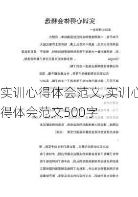 实训心得体会范文,实训心得体会范文500字