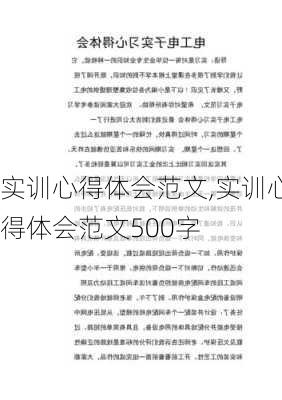 实训心得体会范文,实训心得体会范文500字