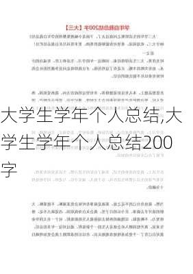 大学生学年个人总结,大学生学年个人总结200字