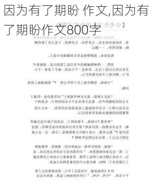 因为有了期盼 作文,因为有了期盼作文800字