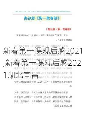 新春第一课观后感2021,新春第一课观后感2021湖北宜昌