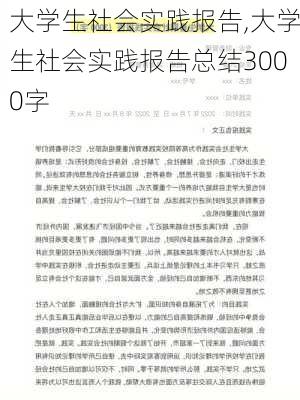 大学生社会实践报告,大学生社会实践报告总结3000字