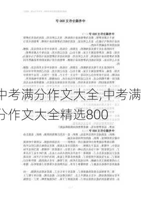 中考满分作文大全,中考满分作文大全精选800