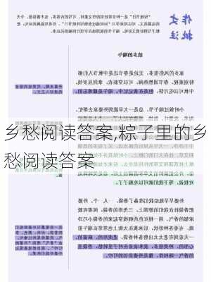 乡愁阅读答案,粽子里的乡愁阅读答案