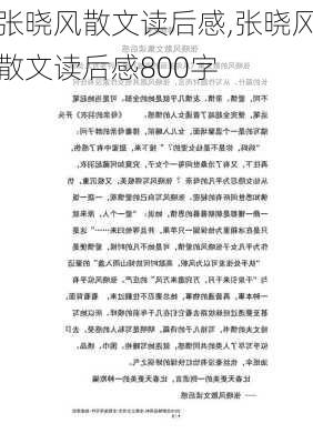 张晓风散文读后感,张晓风散文读后感800字