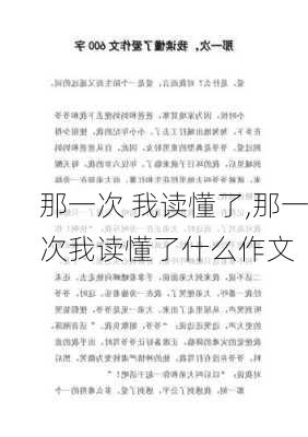 那一次 我读懂了,那一次我读懂了什么作文