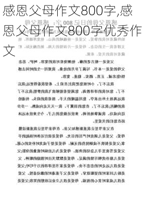 感恩父母作文800字,感恩父母作文800字优秀作文