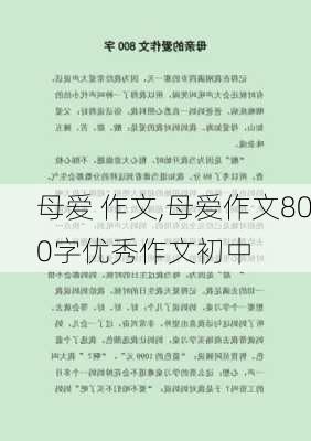 母爱 作文,母爱作文800字优秀作文初中