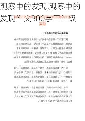 观察中的发现,观察中的发现作文300字三年级