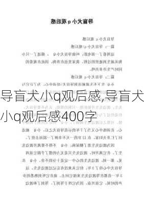 导盲犬小q观后感,导盲犬小q观后感400字