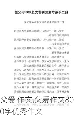 父爱 作文,父爱作文800字优秀作文