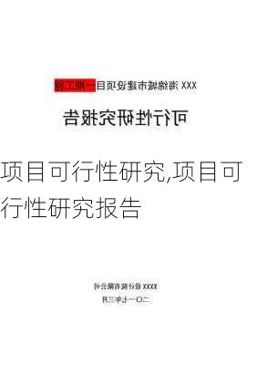 项目可行性研究,项目可行性研究报告