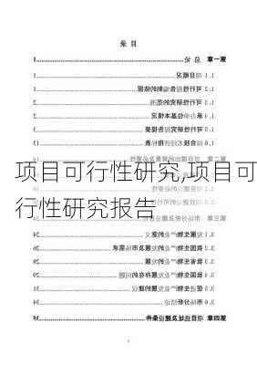 项目可行性研究,项目可行性研究报告