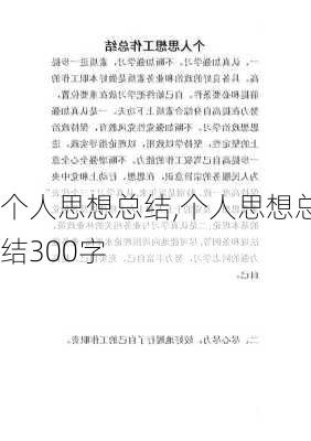 个人思想总结,个人思想总结300字