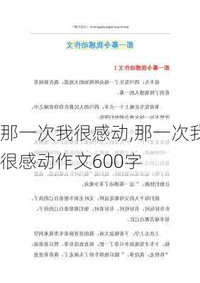 那一次我很感动,那一次我很感动作文600字