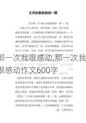 那一次我很感动,那一次我很感动作文600字