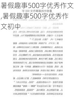 暑假趣事500字优秀作文,暑假趣事500字优秀作文初中