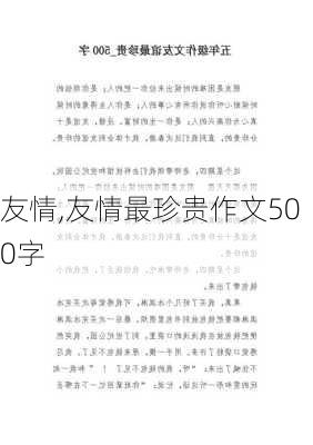 友情,友情最珍贵作文500字