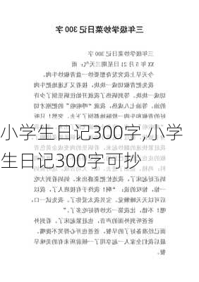 小学生日记300字,小学生日记300字可抄