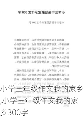 小学三年级作文我的家乡,小学三年级作文我的家乡300字