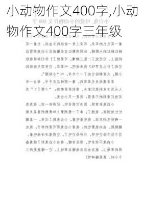 小动物作文400字,小动物作文400字三年级