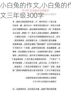 小白兔的作文,小白兔的作文三年级300字