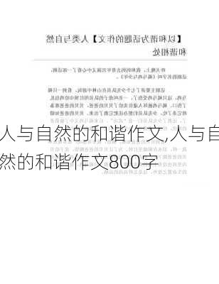 人与自然的和谐作文,人与自然的和谐作文800字