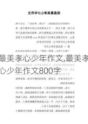 最美孝心少年作文,最美孝心少年作文800字