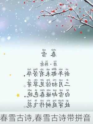 春雪古诗,春雪古诗带拼音