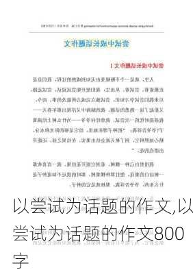 以尝试为话题的作文,以尝试为话题的作文800字