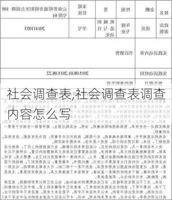 社会调查表,社会调查表调查内容怎么写