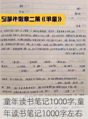 童年读书笔记1000字,童年读书笔记1000字左右