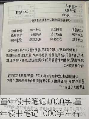 童年读书笔记1000字,童年读书笔记1000字左右