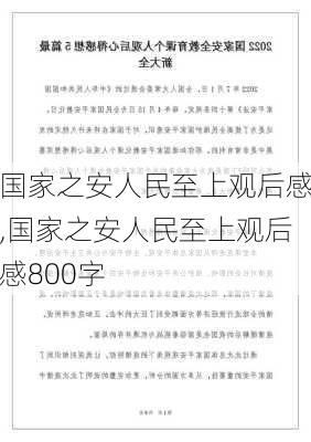 国家之安人民至上观后感,国家之安人民至上观后感800字