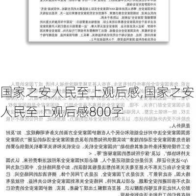 国家之安人民至上观后感,国家之安人民至上观后感800字