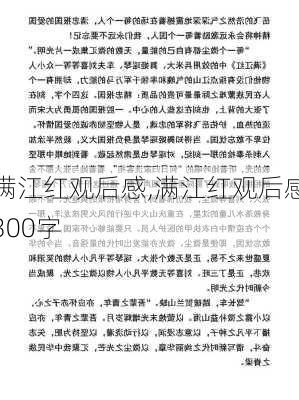 满江红观后感,满江红观后感300字