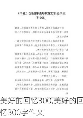 美好的回忆300,美好的回忆300字作文