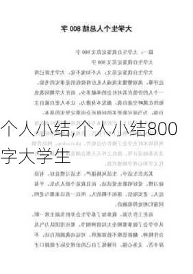 个人小结,个人小结800字大学生