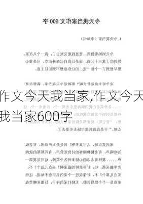 作文今天我当家,作文今天我当家600字