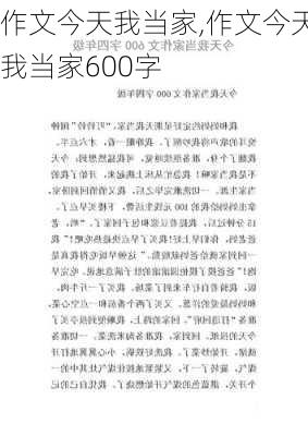 作文今天我当家,作文今天我当家600字