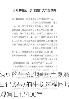 绿豆的生长过程图片 观察日记,绿豆的生长过程图片 观察日记400字