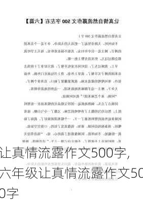 让真情流露作文500字,六年级让真情流露作文500字