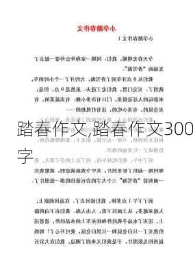 踏春作文,踏春作文300字