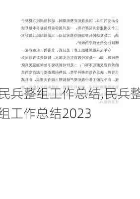 民兵整组工作总结,民兵整组工作总结2023