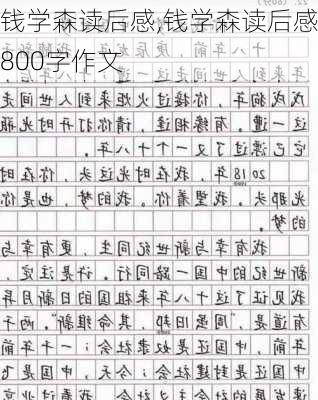 钱学森读后感,钱学森读后感800字作文