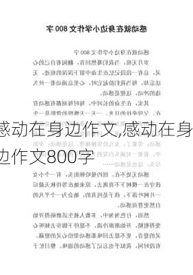 感动在身边作文,感动在身边作文800字