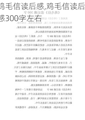 鸡毛信读后感,鸡毛信读后感300字左右