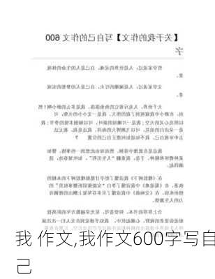 我 作文,我作文600字写自己